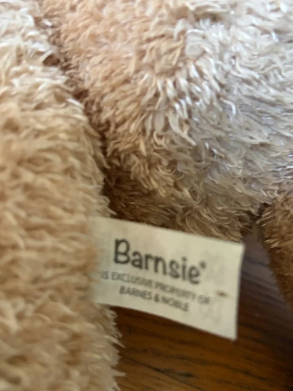 Barnes & Noble Barnsie Bear 17